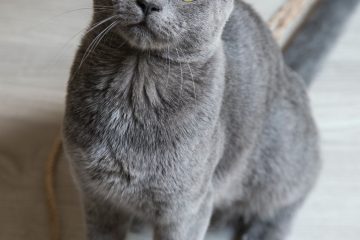milada vigerova 0TPAlZ87mzk unsplash