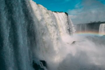 Comprendre la cataracte chez le chat : symptômes, causes et traitements 5 découvrez tout sur la cataracte chez le chat : causes, symptômes, traitements et conseils pour préserver la santé visuelle de votre animal.