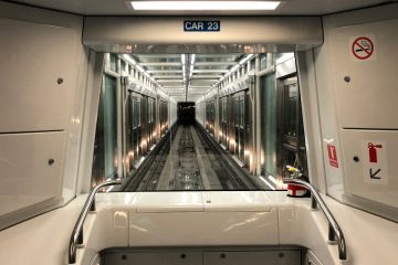 découvrez les causes et solutions pour la perte de cheveux accompagnée d'un pelage terne, et retrouvez des cheveux sains et brillants.