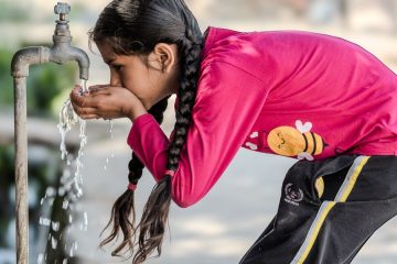 un chat qui boit de l'eau du robinet, illustrant l'hydratation naturelle et simple de nos animaux de compagnie.